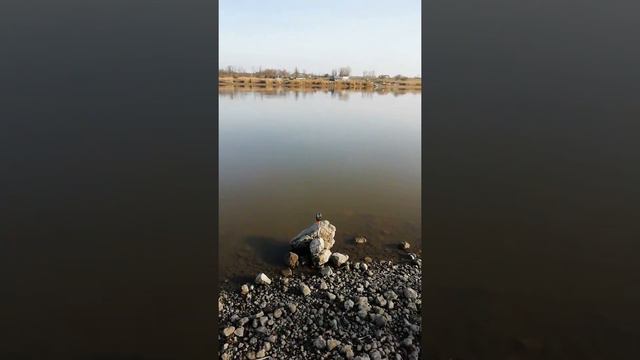Урок рыбалки 1 как правильно тянуть когда ведет