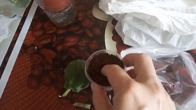 ОЧЕНЬ ПОМОГАЕТ В ЖАРУ ! +30 !! ЗОЛОТЫЕ ПРАВИЛА ! ТОЧНО УКОРЕНИТСЯ ДАЖЕ В ЖАРУ! ! смотреть онлайн