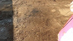 Бензиновый генератор DDE DPG1201i, (1100 Вт) обзор от чайника)))