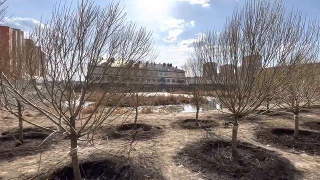 Переезд из Казахстана в Россию. Брошь ручной работы. Нашли то, что искали. Тюмень.
