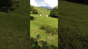 Бенелли -короткий ствол мелкой дробью