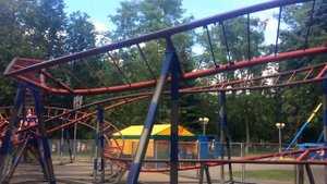 "Дикий поезд" в Минске!