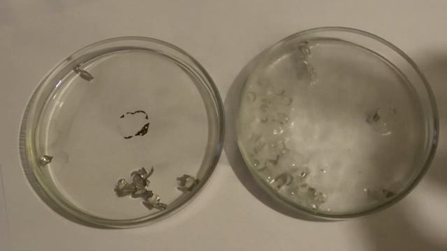 Взаимодействие магния с водой и разбавленной серной кислотой смотреть онлайн