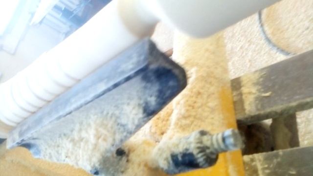 Пояльника может заменить и дерево смотреть онлайн