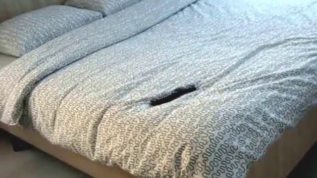 Ремонт угловой однокомнатной хрущевки 31 кв. Этап 5.3.-обеденная зона, потолок, ламинат смотреть онлайн