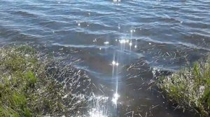 #футаж# Река. Блики на воде.