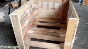 Пять простых способов помочь бездомным животным пережить зиму. Помощь животным. Как помочь животным