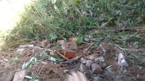 Замена фундамента старого дома своими руками. Продолжаем восстанавливать кирпичный дом помещика.