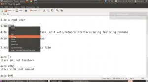 KVM Bridge Networking in Ubuntu