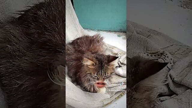 Женщина, не танцую.mp4