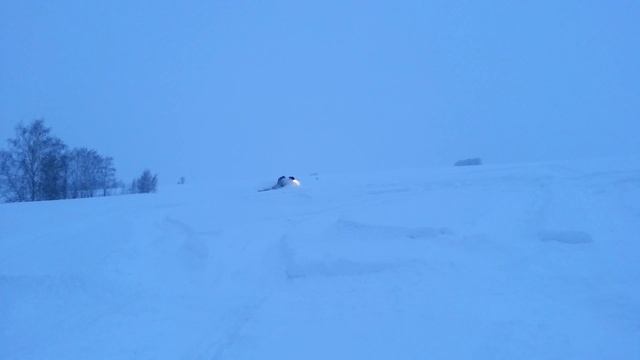 В рубашке родились BRPшники!!! смотреть онлайн