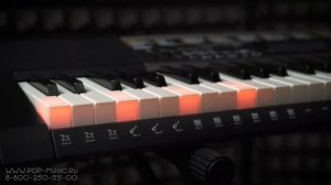CASIO LK-265 (LK-266) - Синтезатор для обучения с подсветкой клавиш
