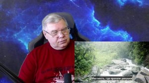 Крис Кремерс и Лисанн Фрон. Полный обзор видео по книге