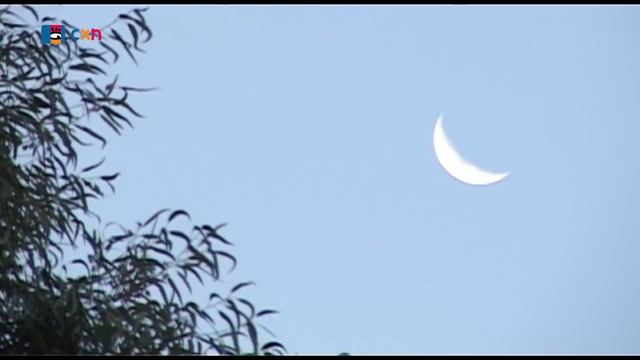 CURIOSOS POR NATURALEZA 2018 -UN EUCALIPTO EN LA LUNA- PROGRAMA 21 смотреть онлайн