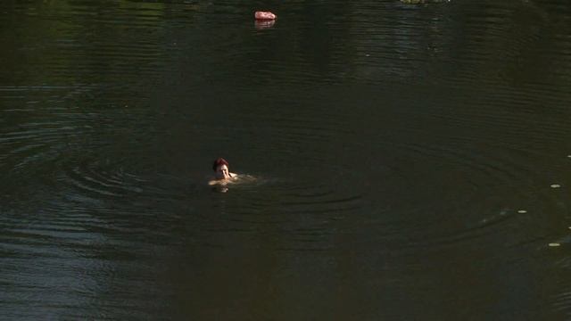 Закрытие купального сезона смотреть онлайн