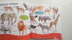 My book of animals