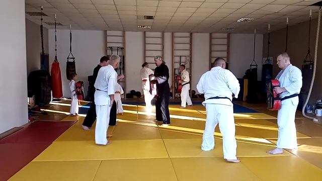 Тайная техника Санчин ката. Часть 2, Шихан Владимир Молотов,  6 дан IBK.The best of Sanchin-dachi.