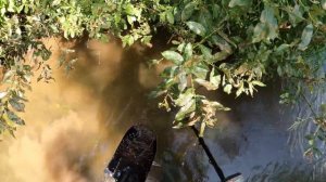 Находки под водой. Что скрывают старые переправы?