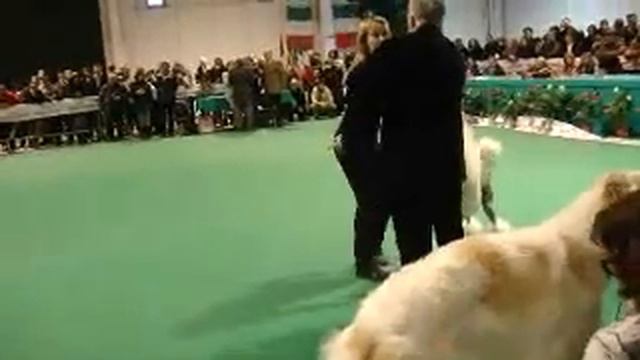 Morgan R.Bis Gonzaga смотреть онлайн