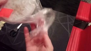 Как вырастить тую из семян Все возможно, главное желание