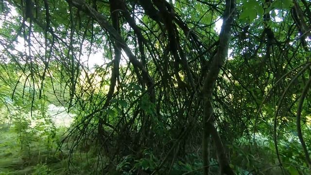 ✅Пасека на связи #2 Бытавуха на качевке, не спеша обустраиваюсь! смотреть онлайн