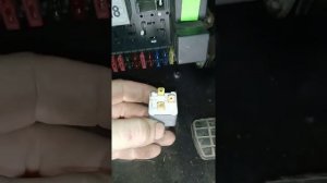 Сигнал, Клаксон. Гольф 2, Джетта 2, Пассат 3.