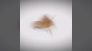 Просто эдит по Roblox