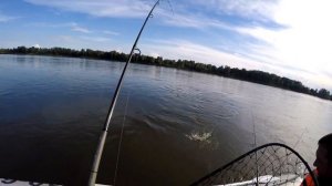 Рыбалка на оби лето 2017 Томская область