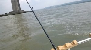 Как почистить угря (паллинг)