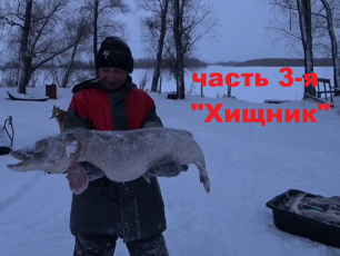 Рыбалка в Нижневартовске - Осеновка, часть 3-я "Хищник"