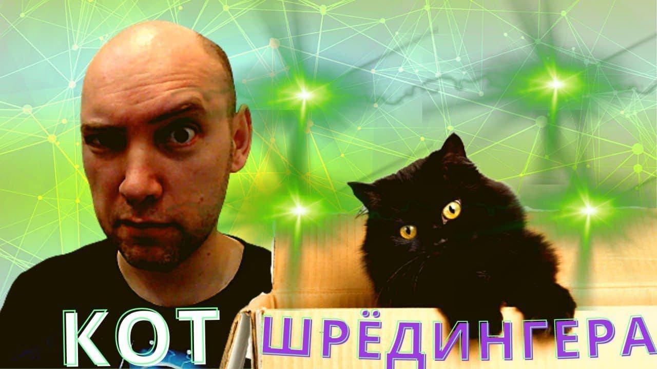 Кто такая кошка Шрёдингера? Душкин объяснит