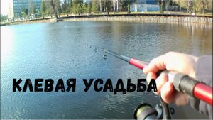 Сезон начался с неловли щуки