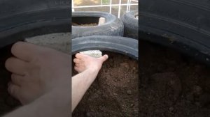 Подставка для еврокуба своими руками из автомобильных покрышек . Часть 1