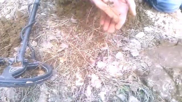 Добили клад уделов и пошли копать домонгола