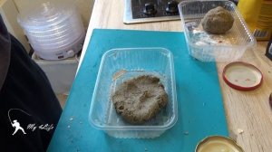 БОЙЛЫ НА КАРПА И САЗАНА. Делаем в домашних условиях))