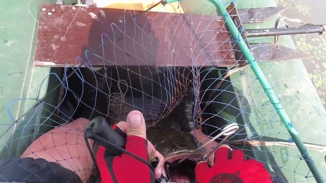 Змееголов реки Белая (часть 2) смотреть онлайн