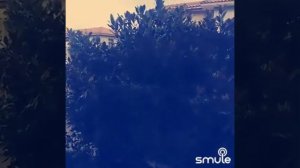 Олег Винник..Нiч яка Мiсячна