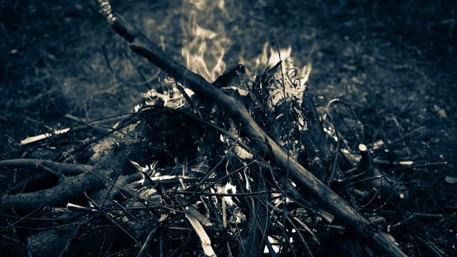 Zeiss Milvus 85mm f/1.4 Canon EF Клязьма,костёр.. смотреть онлайн