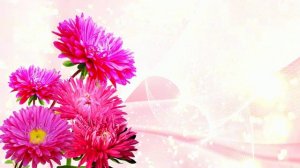 Футаж. Цветочный фон 8