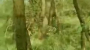 Книжные дети В Высоцкий