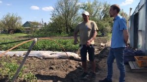 35/20Картофель после весенних заморозков. Что нужно сделать чтобы остаться с урожаем?