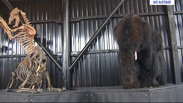 Палеопарк в Чемальском районе уже посетили более 10 тысяч человек смотреть онлайн