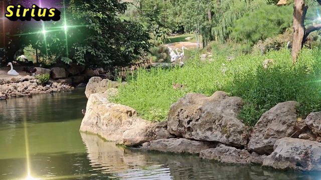 13 декабря день Андрея Первозванного: что категорически нельзя делать