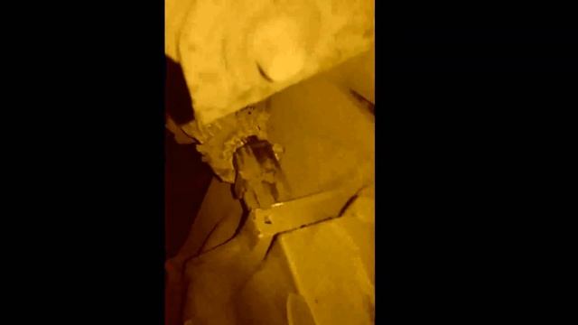 Снятие шплинта датчика скорости Форд Фокус 2 смотреть онлайн