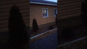 Подсосново Немецкий национальный район?И это Россия?? Алтайский край?? Санаторий Дионисий