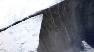 Бетономешалка для арболита -принудительного типа