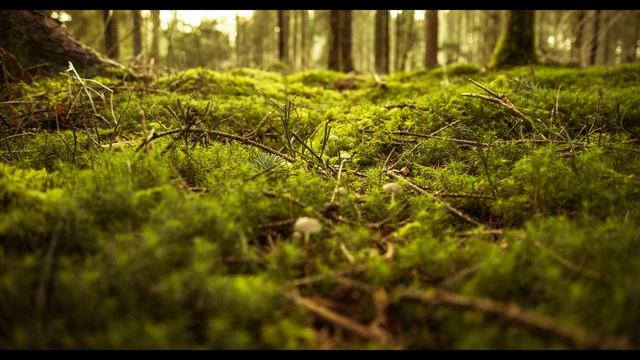 Усыпляющая музыка для сна. смотреть онлайн