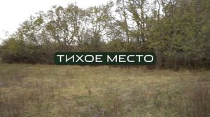 Какие участки под строительство мы советуем выбрать. Земля в краснодарском крае