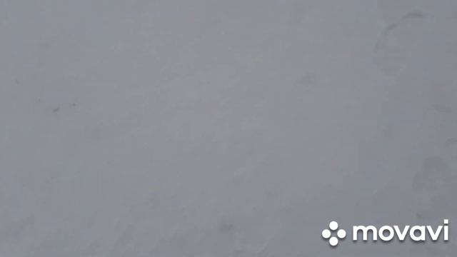 Рыбалка Рыбинка. Март 2022. День 1. смотреть онлайн