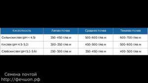 Как избавиться от хвощ